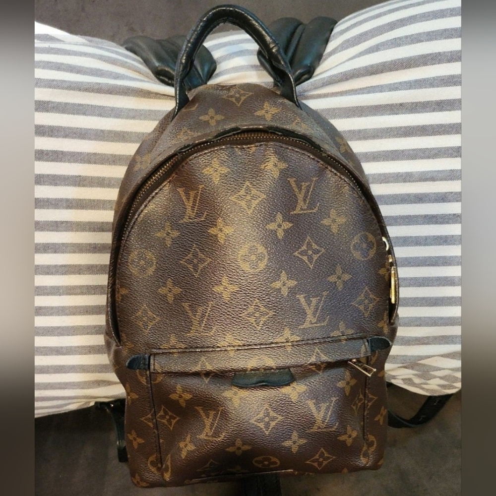 Louis Vuitton Palm Springs  Monogram PM Brown Backpack